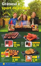 Catalog Lidl săptămâna 33 Pagină 24