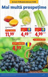 Catalog Lidl săptămâna 33 Pagină 3