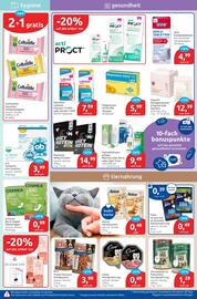 Budni Prospekt woche 34 Seite 5