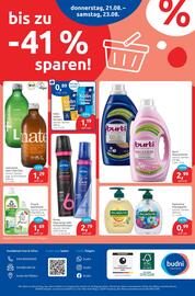 Budni Prospekt woche 34 Seite 8