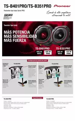 Catálogo Pioneer (válido hasta 10-09)