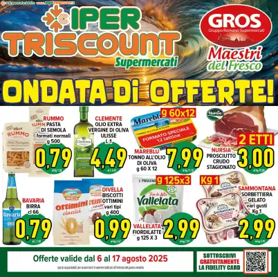 Volantino Iper Triscount (valido fino al 17-08)