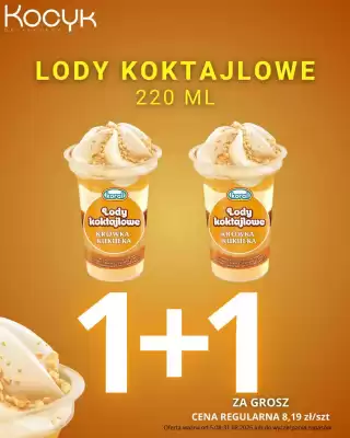 Delikatesy Kocyk gazetka (ważność do 31-08)