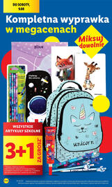 Lidl gazetka Strona 16