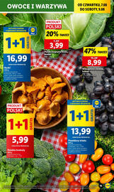 Lidl gazetka Strona 19