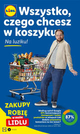 Lidl gazetka Strona 2