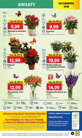 Lidl gazetka Strona 49