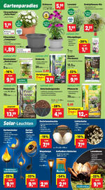 Thomas Philipps Flugblatt woche 33 Seite 5