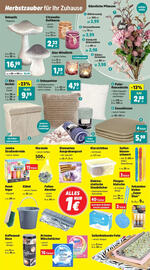 Thomas Philipps Flugblatt woche 33 Seite 7