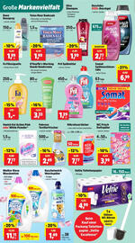 Thomas Philipps Flugblatt woche 33 Seite 8