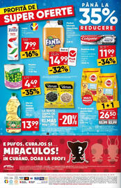 Catalog PROFI Pagină 16