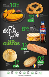 Catalog PROFI Pagină 21