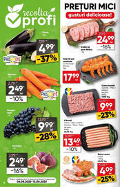 Catalog PROFI Pagină 4
