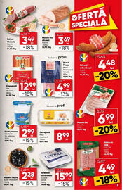 Catalog PROFI Pagină 5