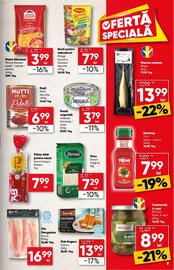 Catalog PROFI Pagină 9