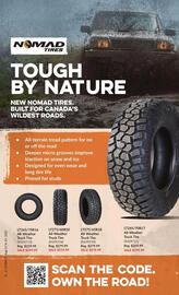 Princess Auto flyer Page 49