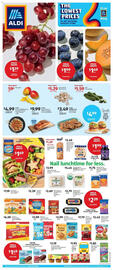 Aldi Weekly Ad week 32 Page 1