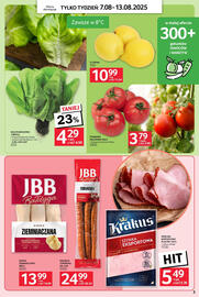 Selgros gazetka tydzień 32 Strona 3