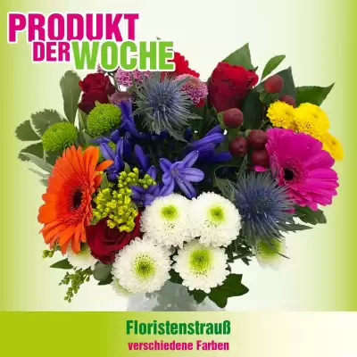 Blumen B&B Flugblatt (gültig bis 12-08)
