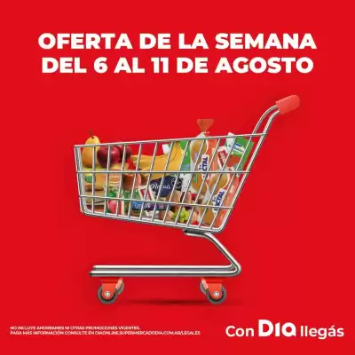 Catálogo Supermercados DIA (válido hasta 11-08)