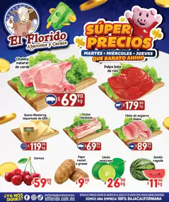 Catálogo El Florido (válido hasta 7-08)