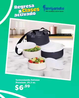 Catálogo Ferrisariato (válido hasta 31-08)