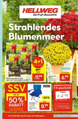 Hellweg Flugblatt (gültig bis 13-08)