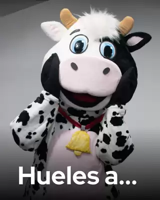 Catálogo La Vaquita Supermercados (válido hasta 7-08)
