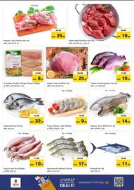Nesto catalogue Page 14