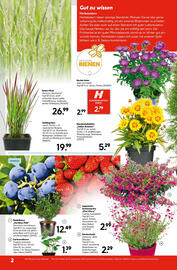 Hellweg Flugblatt woche 32 Seite 2