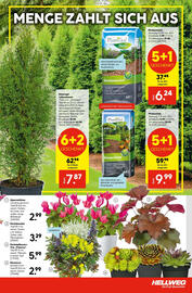 Hellweg Flugblatt woche 32 Seite 3