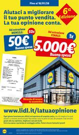 Volantino Lidl settimana 33 Pagina 30