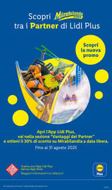 Volantino Lidl settimana 33 Pagina 31