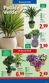 Volantino Lidl settimana 33 Pagina 41