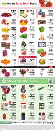 ShopRite Weekly Ad week 32 Page 10