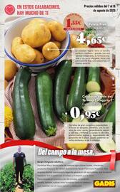 Folleto Gadis | De la Huerta a tu Mesa Página 5