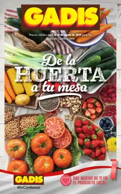 Folleto Gadis (válido hasta el 16-08)