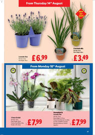 Lidl leaflet week 33 Page 21