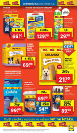 Lidl leták Strana 21