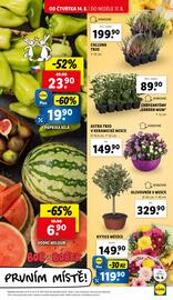 Lidl leták Strana 9