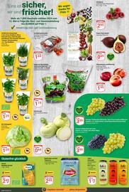Globus Prospekt woche 33 Seite 10