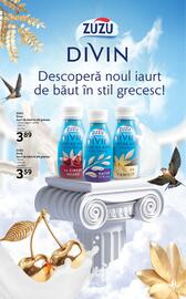 Catalog Selgros Pagină 13