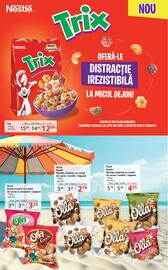 Catalog Selgros Pagină 16