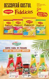 Catalog Selgros Pagină 17
