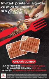 Catalog Selgros Pagină 26