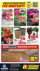 B1 Discount Baumarkt Prospekt woche 32 Seite 8