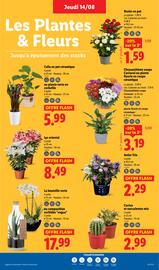 Catalogue Lidl semaine 33 page 27