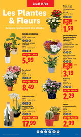 Catalogue Lidl semaine 33 page 27