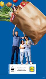 Catalogue Lidl semaine 33 page 29
