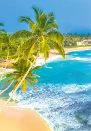 Coral Travel gazetka Strona 199